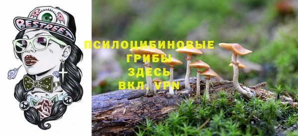 мескалин Волгодонск