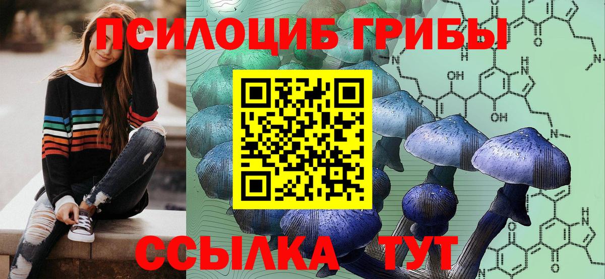 Рославль  Псилоцибиновые грибы Psilocybe  Вход с VPN 