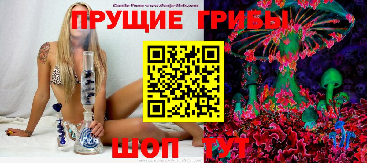 Псилоцибиновые грибы Psilocybine cubensis Рославль